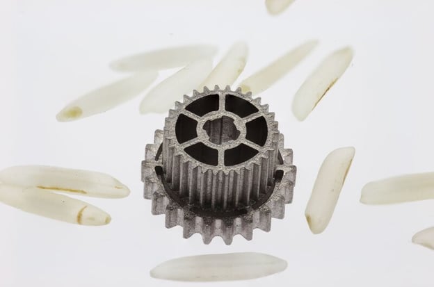 Printed Gear Rice Scale